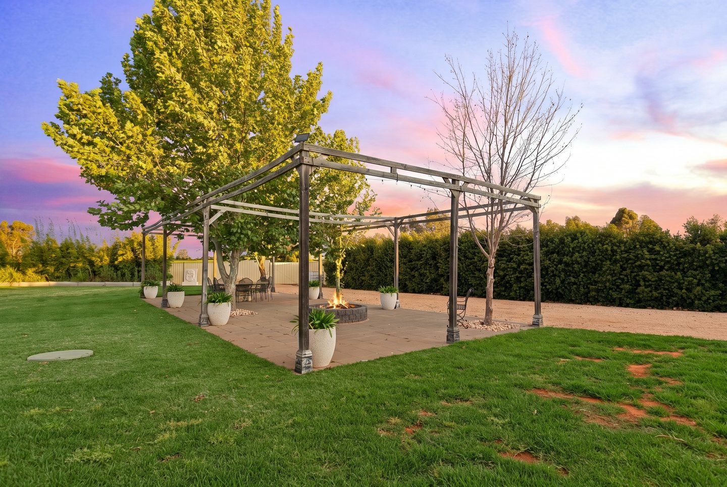 The terrace and established trees