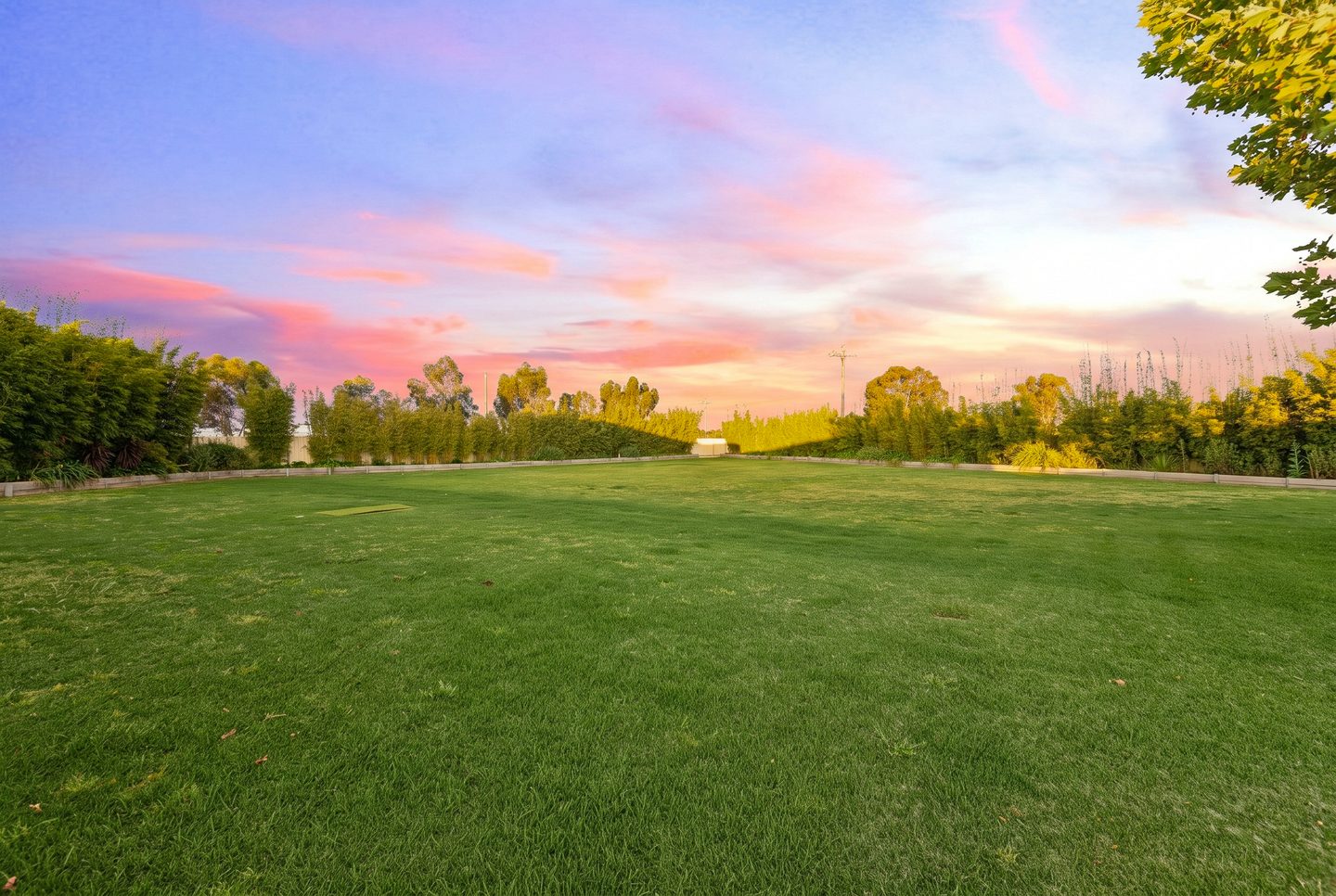 Open lawn and established boundary planting